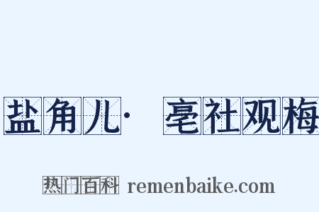 盐角儿·亳社观梅是什么意思的图片